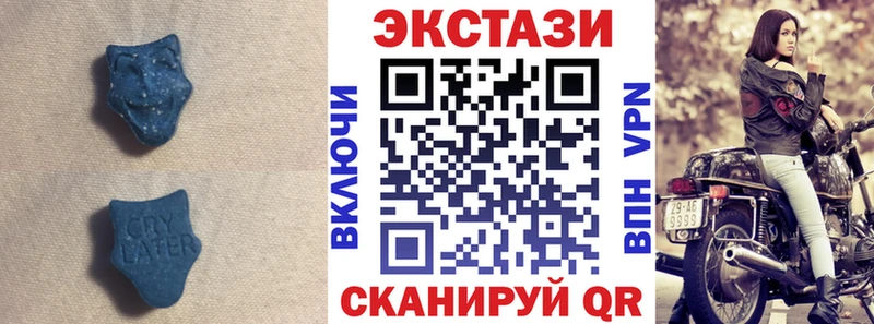 ЭКСТАЗИ TESLA  Купить закладки  Циолковский 