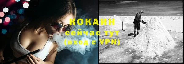 трава Бородино
