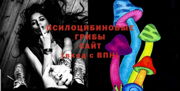 а пвп мука Бугульма
